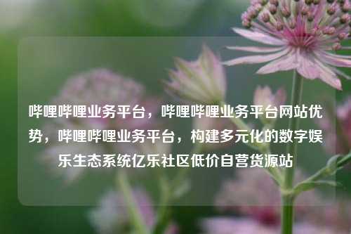 哔哩哔哩业务平台，哔哩哔哩业务平台网站优势，哔哩哔哩业务平台	，构建多元化的数字娱乐生态系统亿乐社区低价自营货源站  第1张