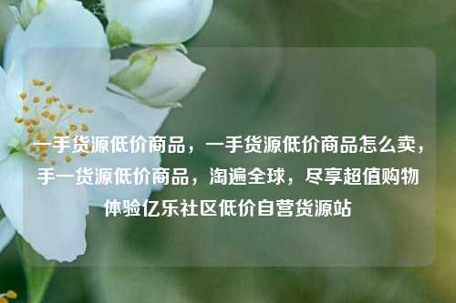 一手货源低价商品，一手货源低价商品怎么卖，手一货源低价商品，淘遍全球，尽享超值购物体验亿乐社区低价自营货源站  第1张
