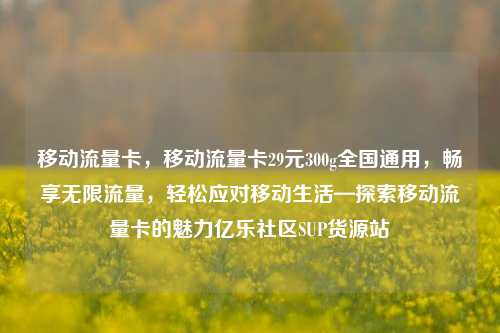 移动流量卡，移动流量卡29元300g全国通用，畅享无限流量	，轻松应对移动生活—探索移动流量卡的魅力亿乐社区SUP货源站  第1张