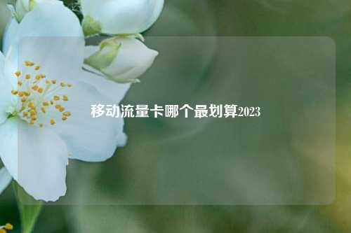 移动流量卡哪个最划算2023  第1张