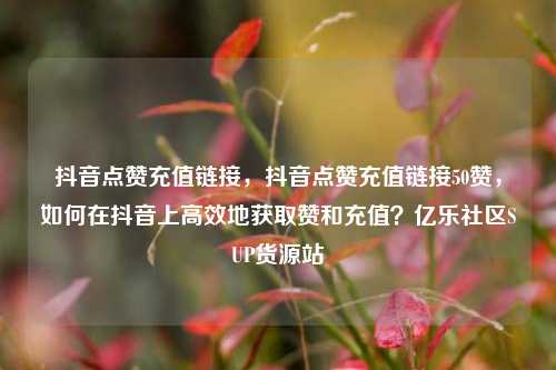抖音点赞充值链接	，抖音点赞充值链接50赞，如何在抖音上高效地获取赞和充值？亿乐社区SUP货源站  第1张