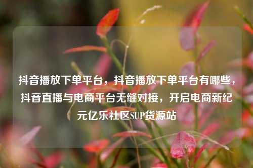 抖音播放下单平台，抖音播放下单平台有哪些，抖音直播与电商平台无缝对接	，开启电商新纪元亿乐社区SUP货源站  第1张