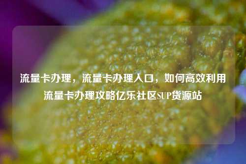 流量卡办理，流量卡办理入口，如何高效利用流量卡办理攻略亿乐社区SUP货源站  第1张