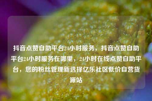 抖音点赞自助平台24小时服务	，抖音点赞自助平台24小时服务在哪里，24小时在线点赞自助平台，您的粉丝管理新选择亿乐社区低价自营货源站  第1张