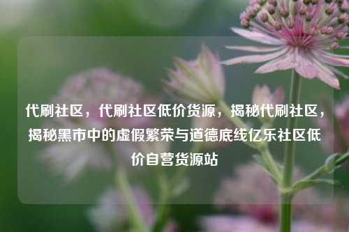 代刷社区，代刷社区低价货源，揭秘代刷社区，揭秘黑市中的虚假繁荣与道德底线亿乐社区低价自营货源站  第1张