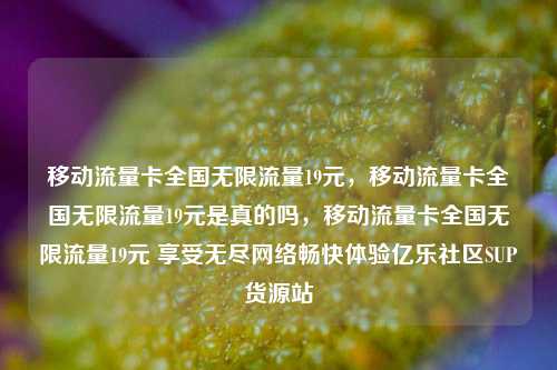 移动流量卡全国无限流量19元，移动流量卡全国无限流量19元是真的吗，移动流量卡全国无限流量19元 享受无尽网络畅快体验亿乐社区SUP货源站  第1张