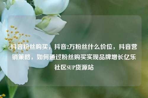 抖音粉丝购买	，抖音2万粉丝什么价位，抖音营销策略，如何通过粉丝购买实现品牌增长亿乐社区SUP货源站  第1张