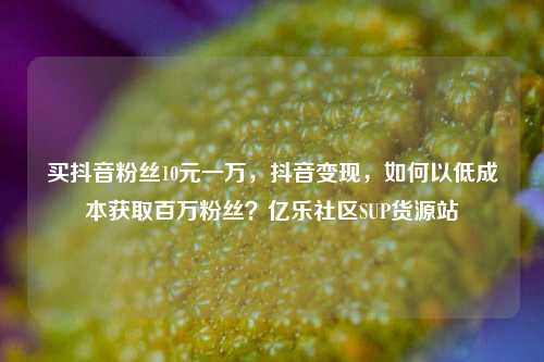 买抖音粉丝10元一万，抖音变现，如何以低成本获取百万粉丝？亿乐社区SUP货源站  第1张