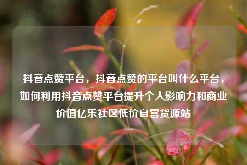 抖音点赞平台，抖音点赞的平台叫什么平台，如何利用抖音点赞平台提升个人影响力和商业价值亿乐社区低价自营货源站  第1张