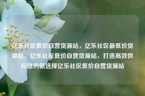 亿乐社区低价自营货源站	，亿乐社区最低价货源站，亿乐社区低价自营货源站，打造高效供应链的新选择亿乐社区低价自营货源站  第1张