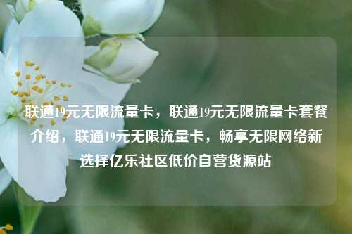 联通19元无限流量卡	，联通19元无限流量卡套餐介绍，联通19元无限流量卡，畅享无限网络新选择亿乐社区低价自营货源站  第1张