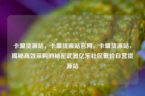 卡盟货源站，卡盟货源站官网	，卡盟货源站，揭秘高效采购的秘密武器亿乐社区低价自营货源站  第1张