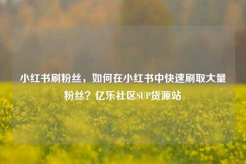 小红书刷粉丝，如何在小红书中快速刷取大量粉丝？亿乐社区SUP货源站  第1张