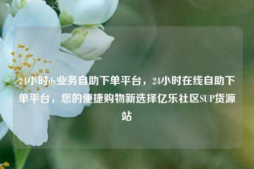 24小时dy业务自助下单平台	，24小时在线自助下单平台，您的便捷购物新选择亿乐社区SUP货源站  第1张